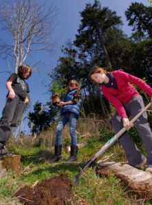 Young people planting trees on Mayne Island